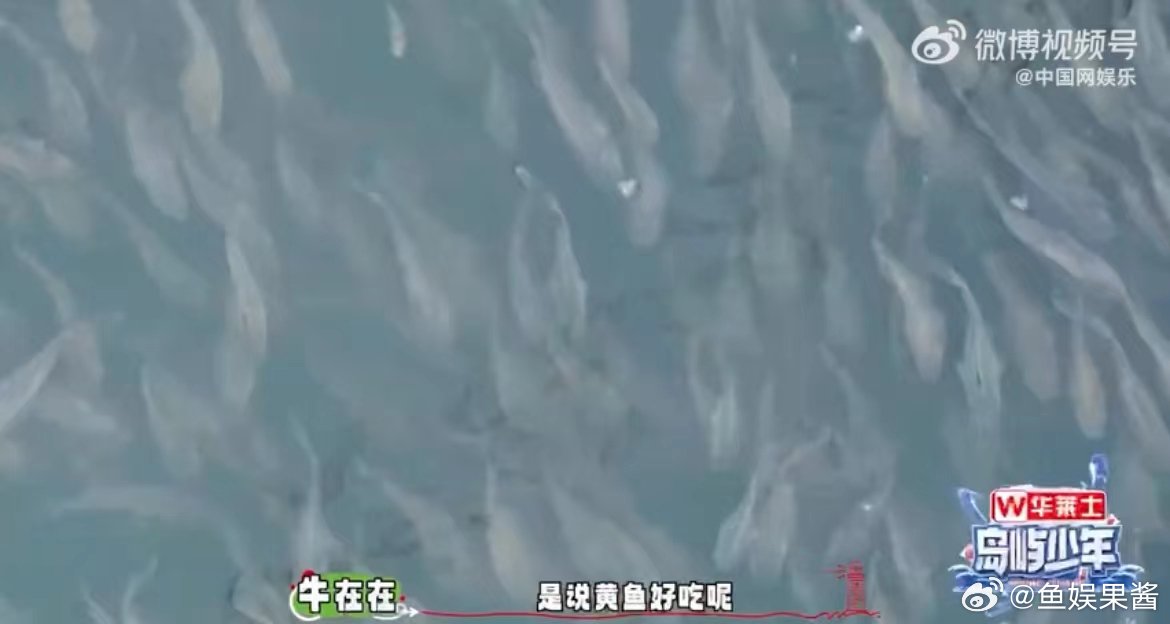 #黄鱼好吃是因为黄鱼吃得好#真是受到冲击了，谁成想得到鱼饲料闻起来也会如此香，看