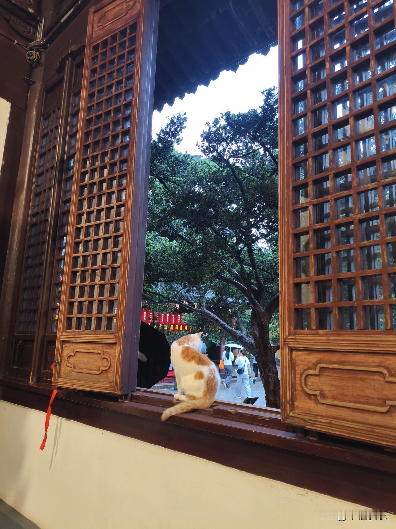 20260721

7月2日，宏微转债触发强赎条件，前一天转股价值还有157元，