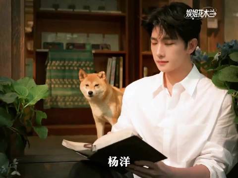 这样走心的双向奔赴真的太好磕了
杨洋
#一分钟精选视频扶持计划#