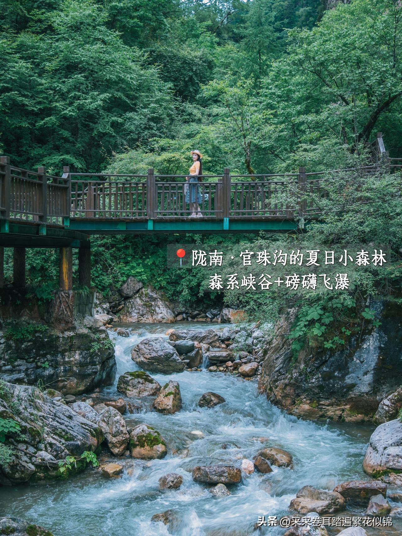 躲进夏日森林｜在甘肃的小伙伴可以去官鹅沟避暑呀

甘肃陇南官鹅沟，其实是官珠沟+