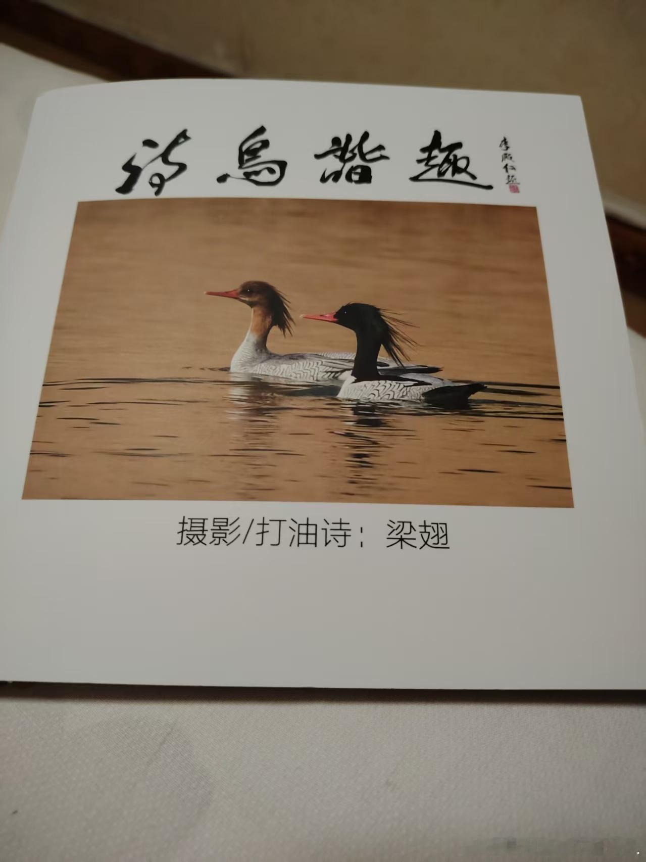 横看五七字，竖读四八行。品味少诗意，自诩卖油郎。        ——2026.7