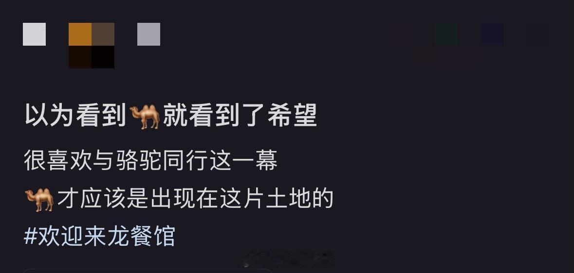 网友看完欢迎来龙餐馆：第一次这么希望一部电影包饺子！但偏偏没有正是导演的高明之处