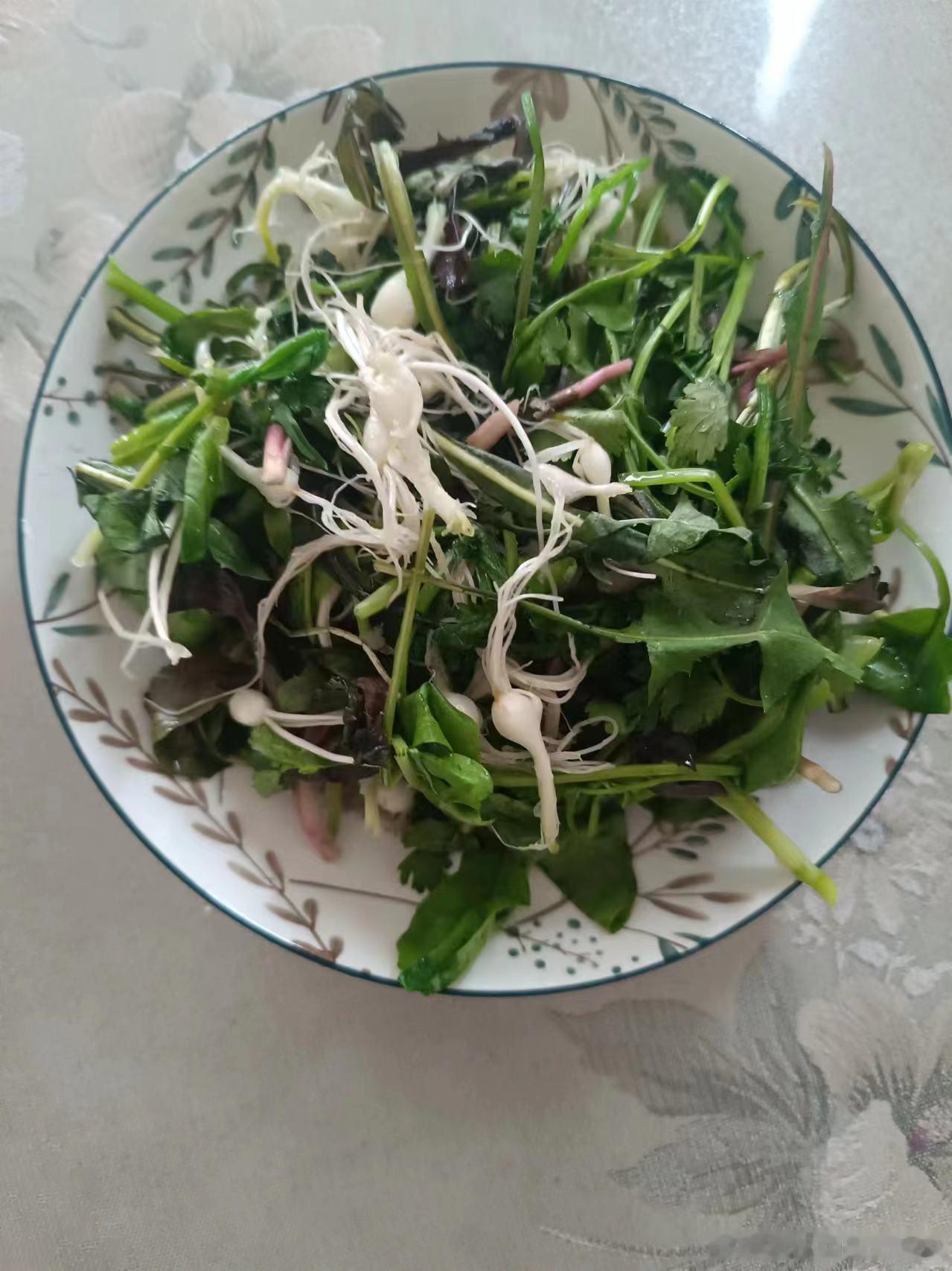 春天适当吃点野菜#中医[超话]# ​​​