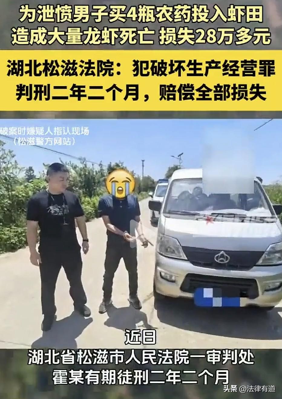 跨市买4瓶农药，投进隔壁90亩虾田！虾农28万收成一夜翻白，他判了二年二个月
