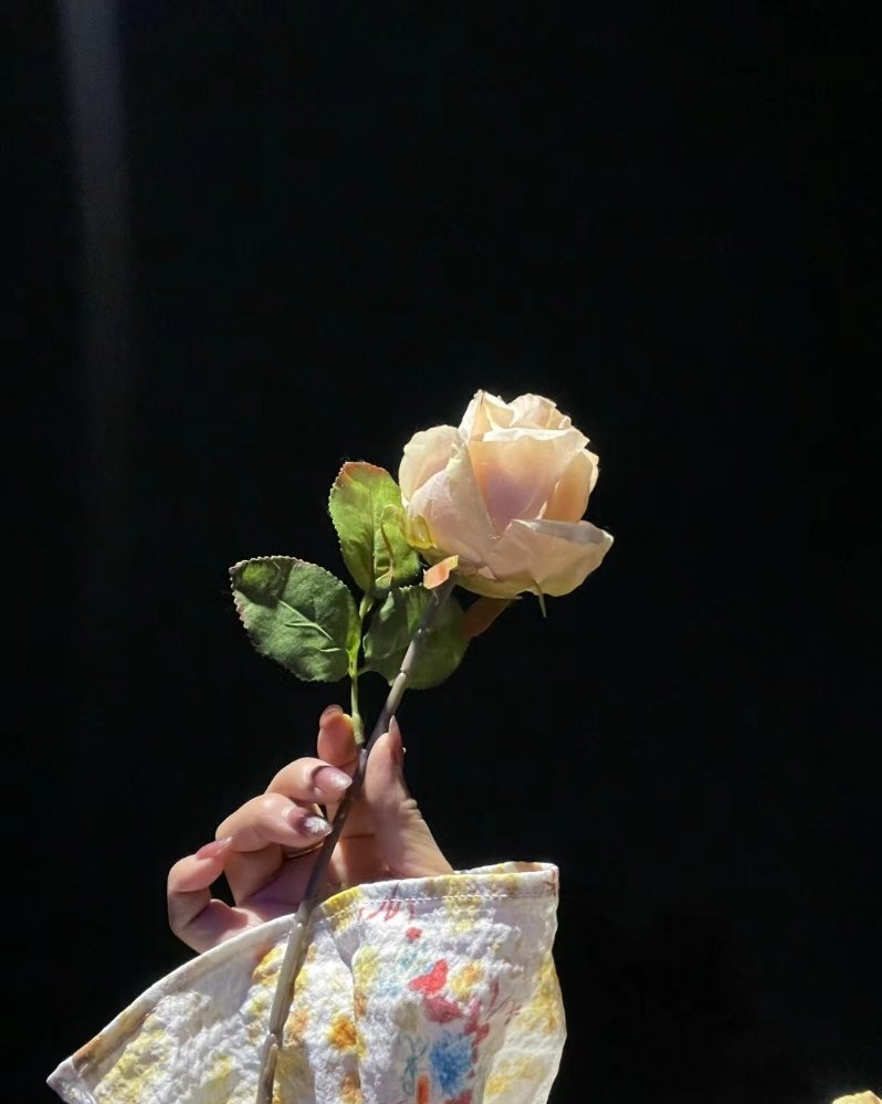 还有300多天又要过年了 回想起上个除夕 就好想跟昨天一样 在这里提前给大家拜个