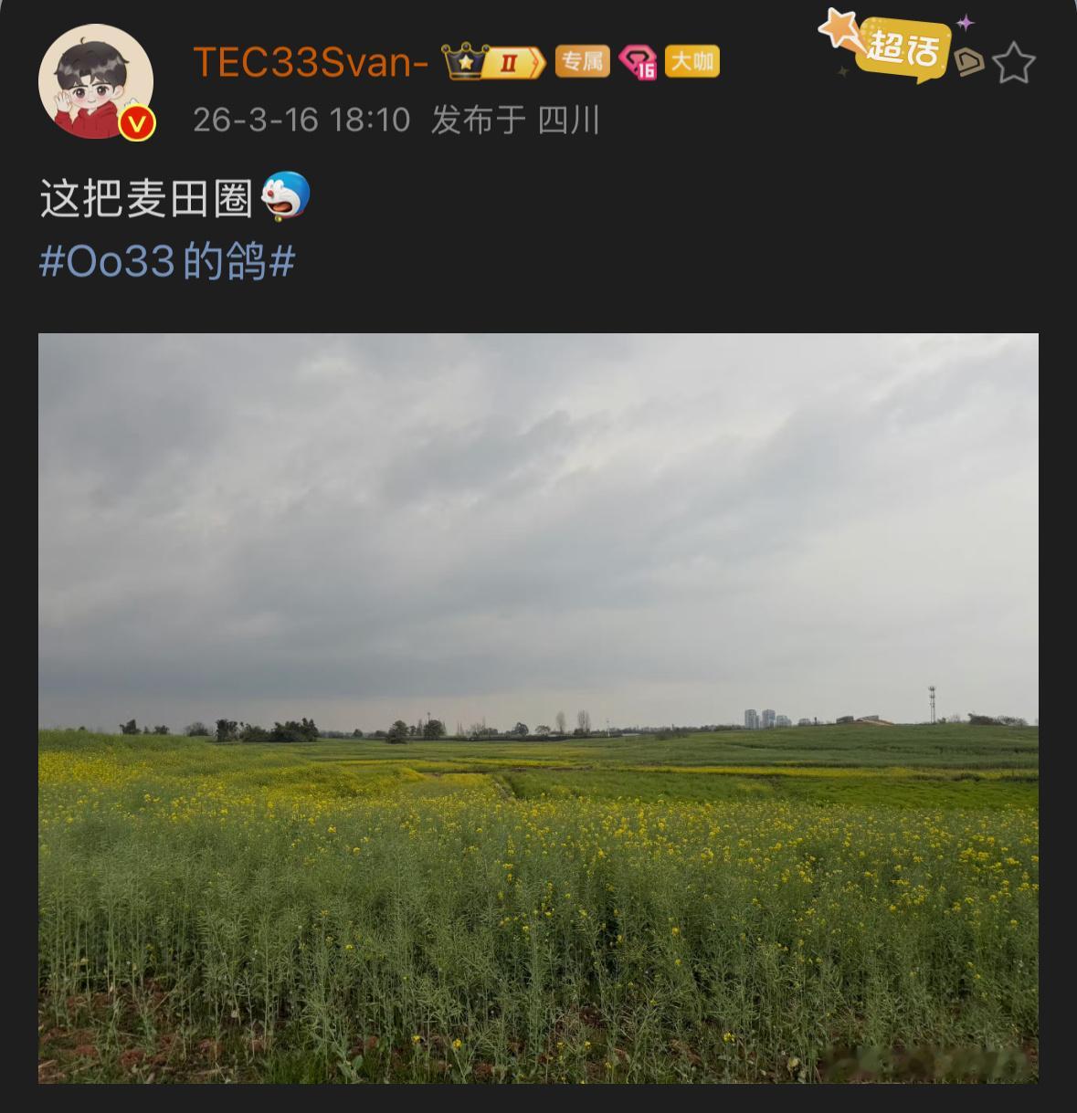 33这把麦田圈镜头翻转看看🕊️