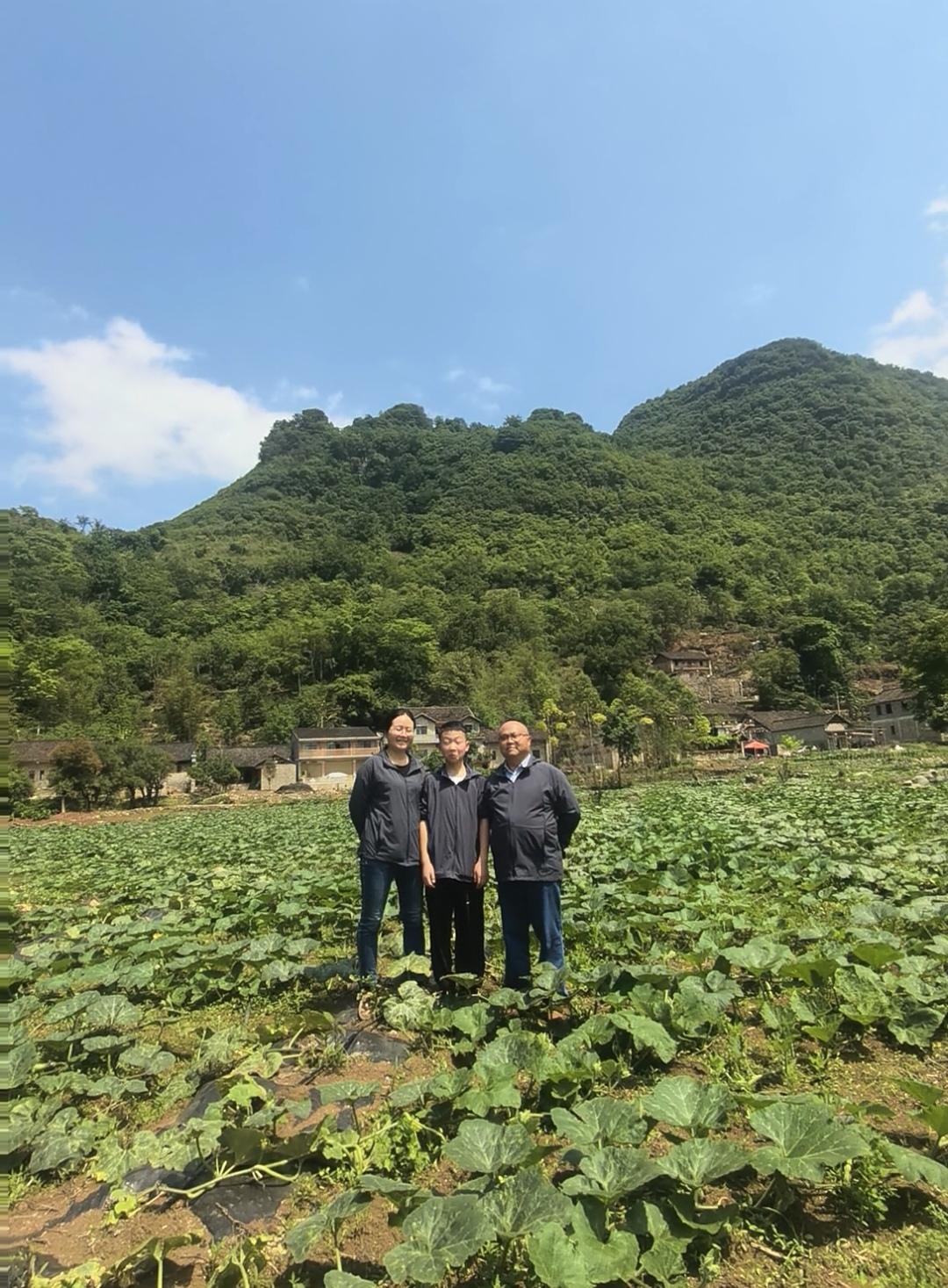 我们家的乡村行：一垄新绿，一畦希望。
      我领着妻儿行走在绿油油的稻田、