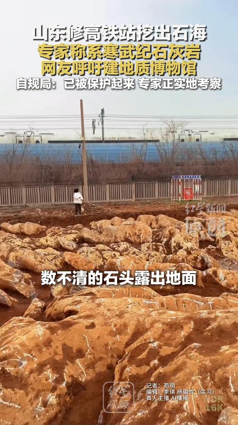 山东修高铁站挖出5亿年前石海 已实施保护并开展科考
           山东宁