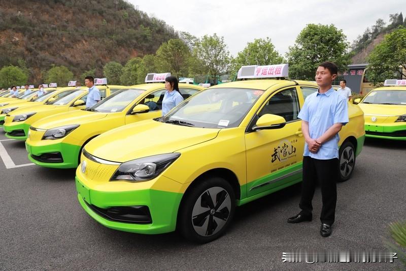 男子打新能源出租车从东北去三亚 1月23日新闻真是让我开了眼，李先生打新能源出租