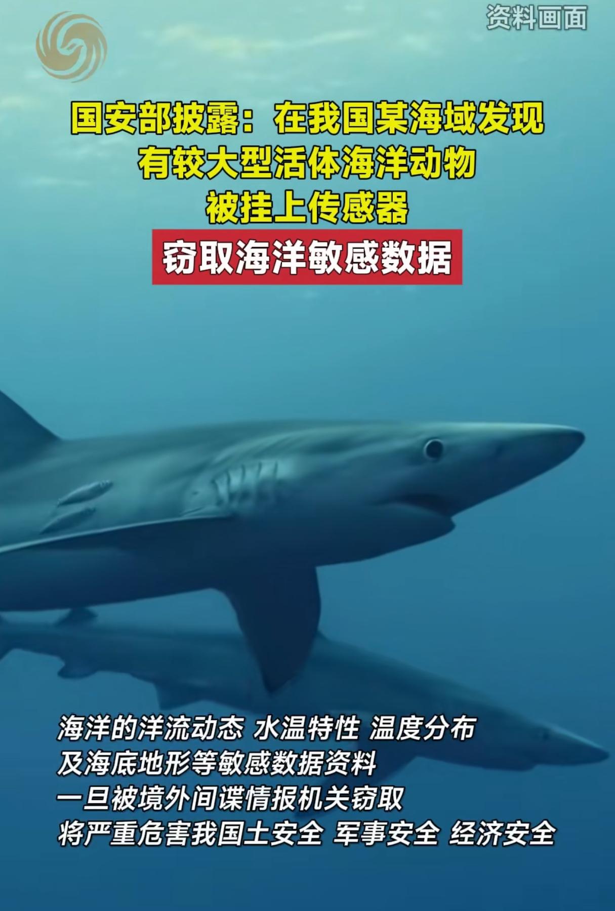 其实这种间谍方式还算是好对付的，就怕那种混进了咱们其中的间谍，尤其是身处高位的间