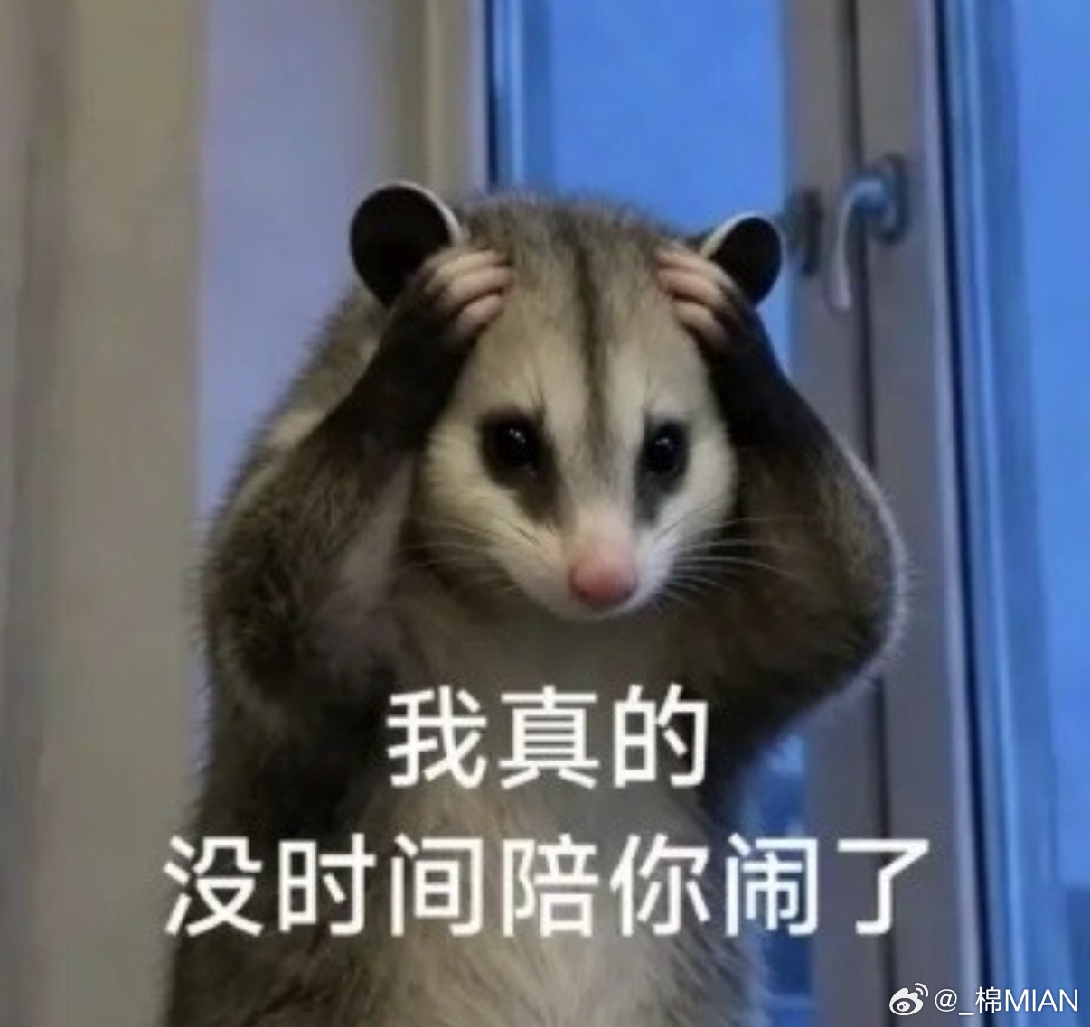 豆沙喽！豆沙喽！豆沙喽！把泥点子，洗脚水豆沙喽！