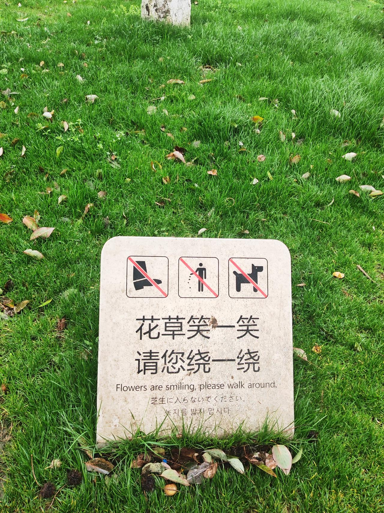 ​​婚姻与爱情哪有那么多意难平呢？
不过是爱还在时掏心掏肺，分开时任性妄为，最终