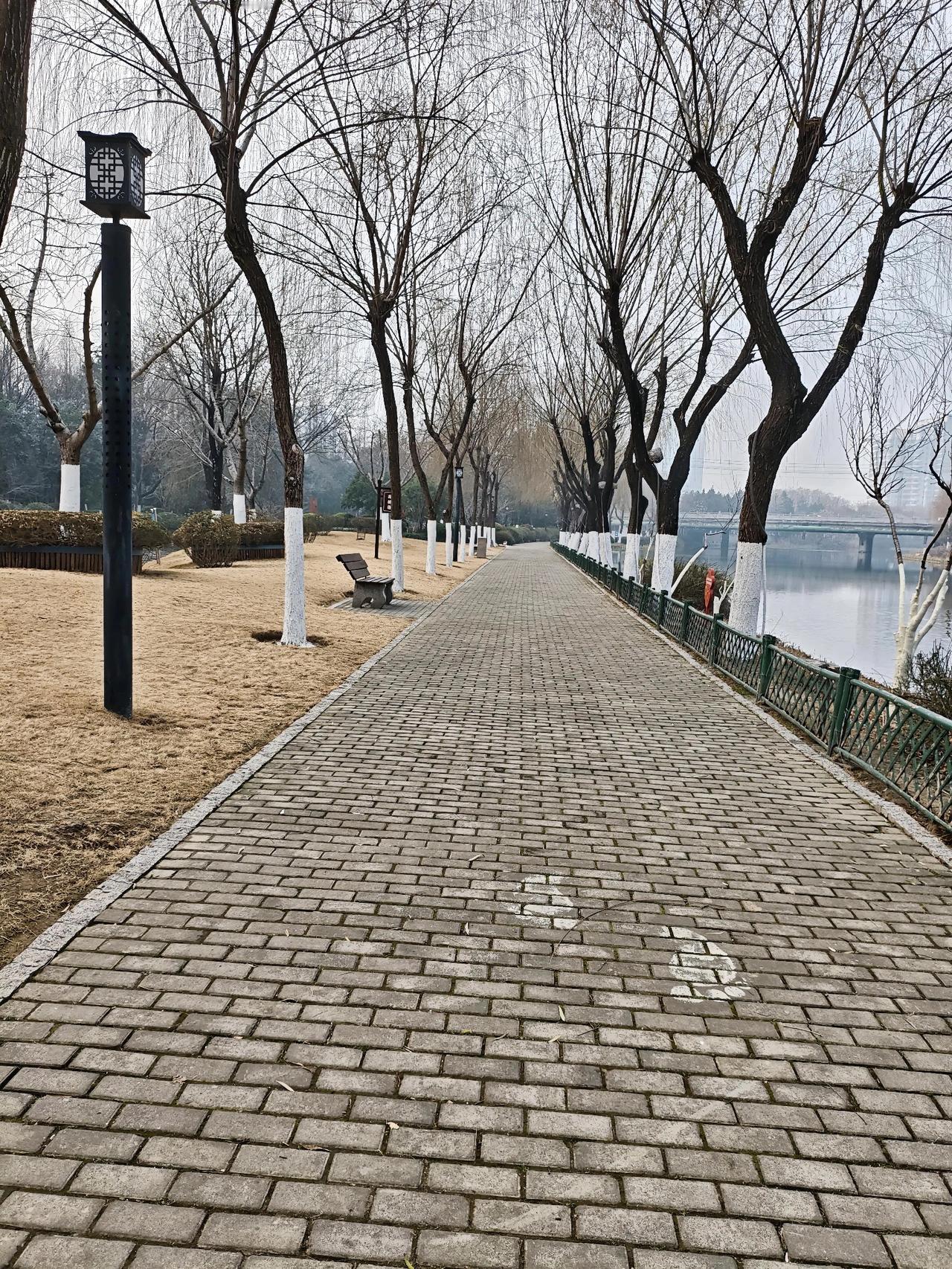 晒出你相册里最有意境的一张照片公园的步道在雾蒙蒙的天光里铺展，一步一步踩下去，像