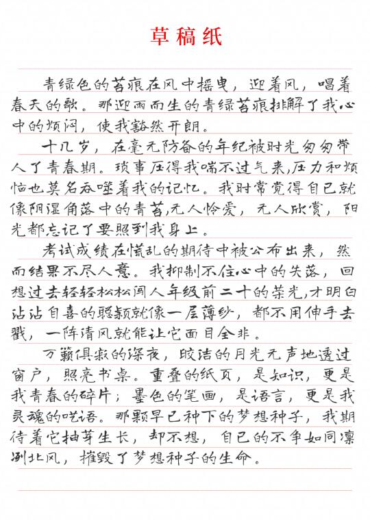 💛文笔差的初中生，请直接背这篇❗️