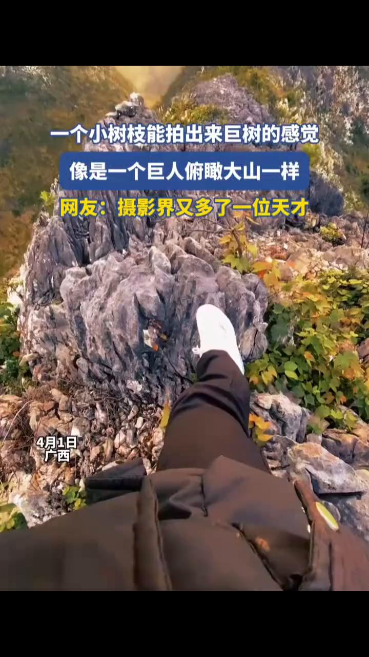 一个小树枝能拍出来巨树的感觉，像是一个巨人俯瞰大山一样。网友：摄影界又多了一位天