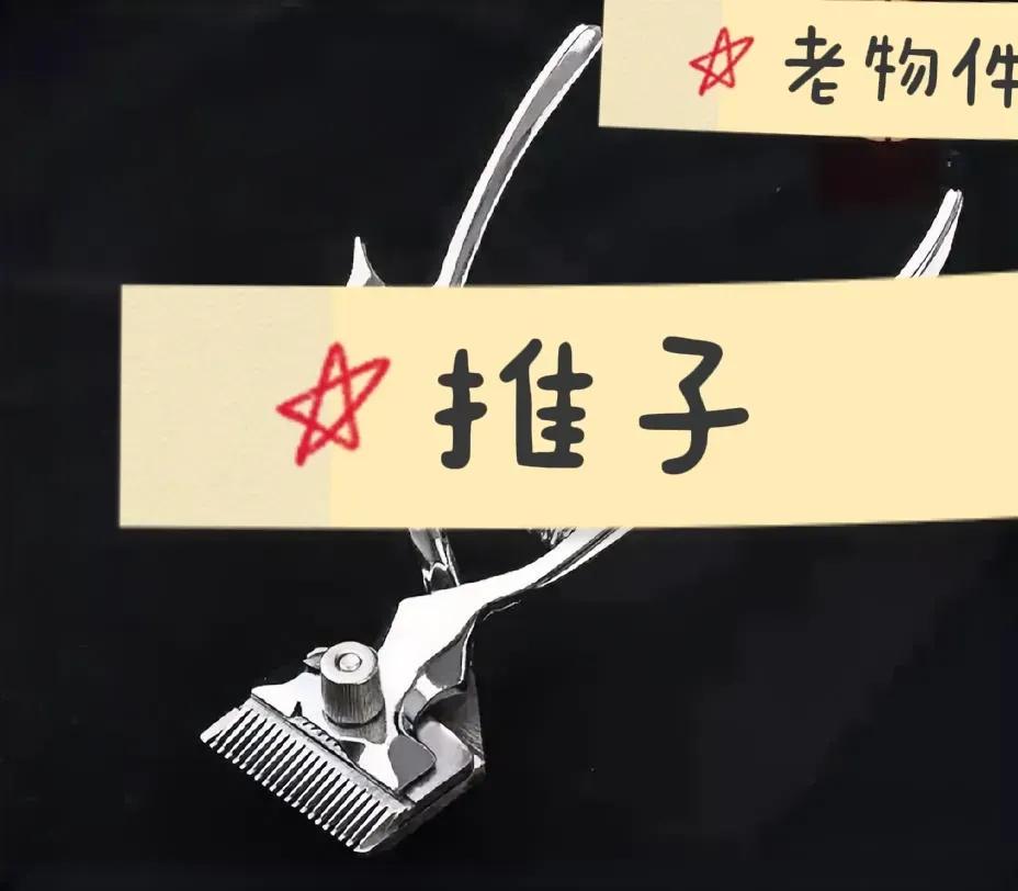 儿子小的时候，他爸买了这样的一把推子，说叫剪头发。

我记得当时太清楚，每次给儿