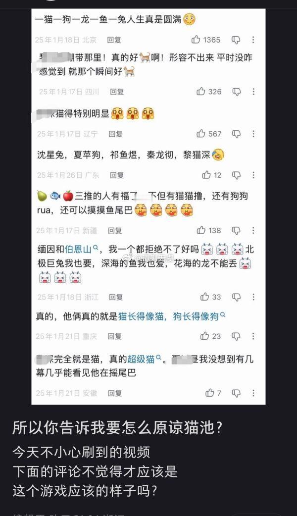 【】牛婶子怎么这么搞笑 猫卡都过去多久了还年年不忘 现在除了她们谁知道牛牛的猫塑