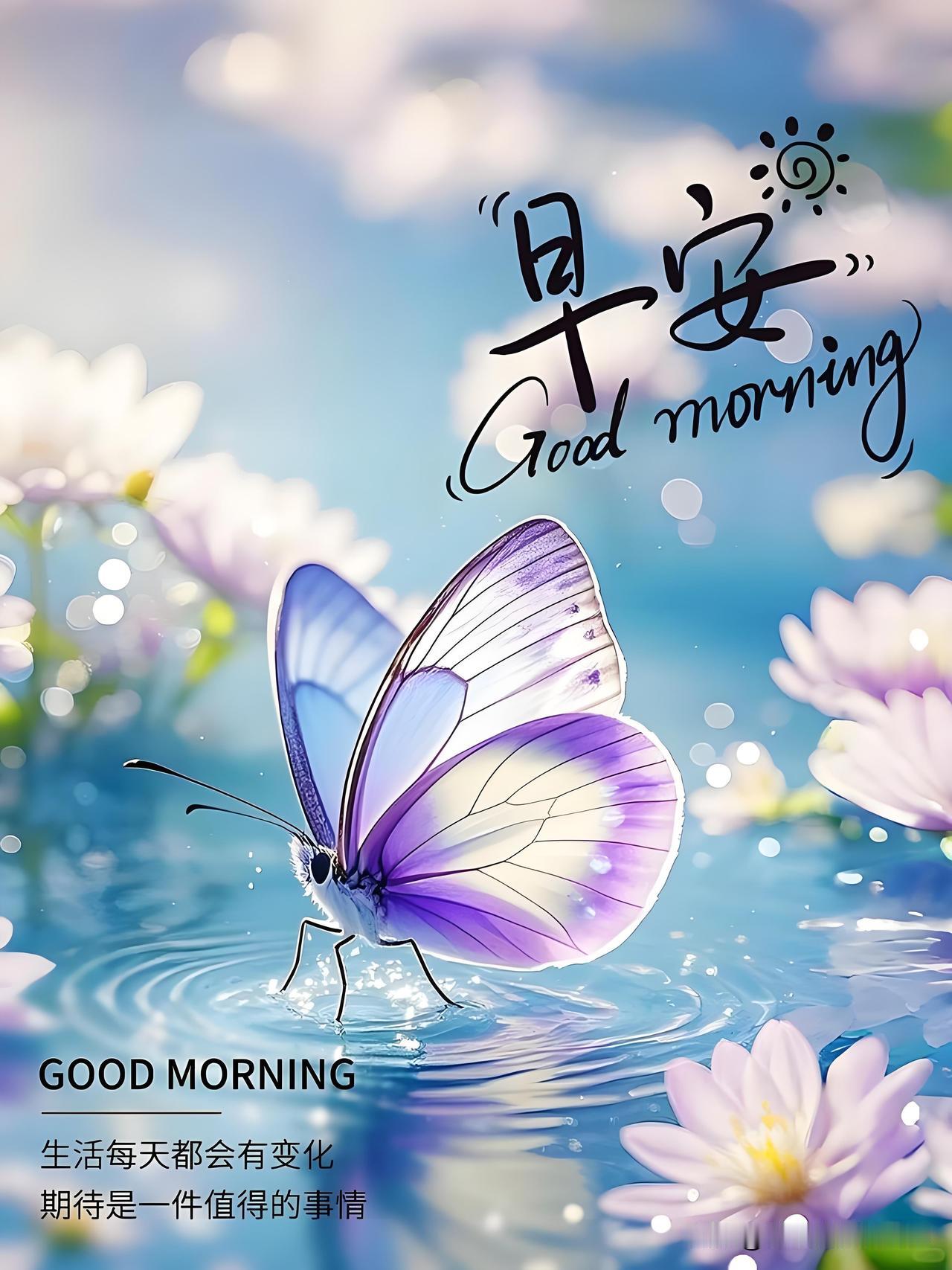 🍃꧂🌞早上好💕᭄🌿☕️
             𝒢𝑜𝑜𝒹 𝓂