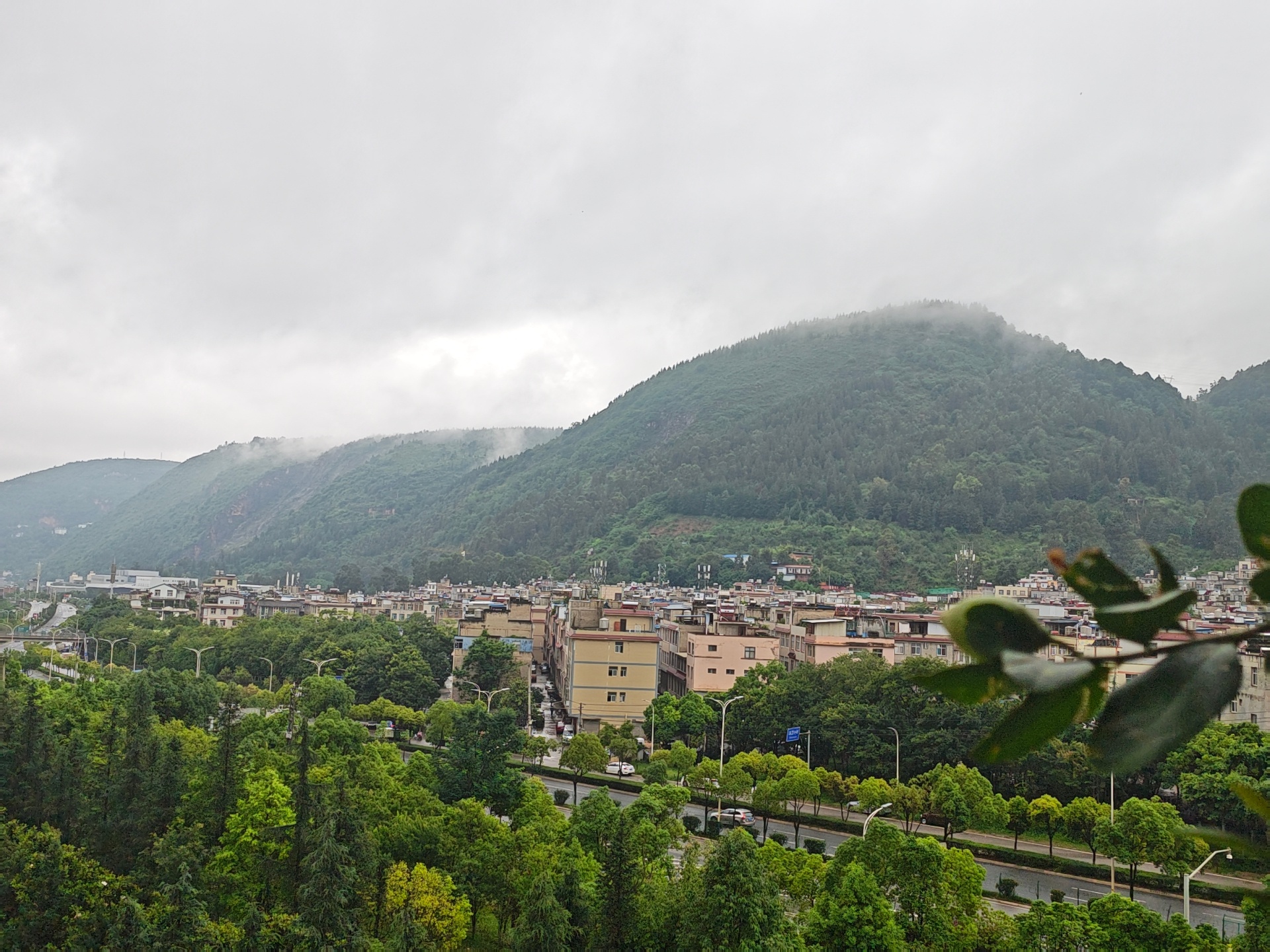 这两天都有雨，啥时候出太阳就是进山采蘑菇的时候咯