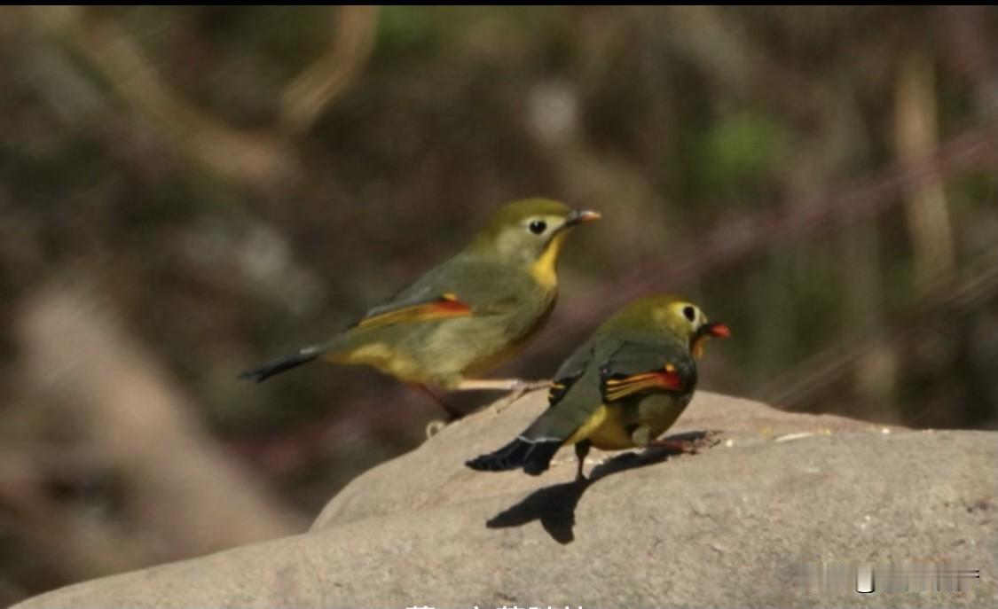教育孩子有窍门吗？还真有。
别老想着让孩子按自己意愿来，得尊重他们的个性。每个孩