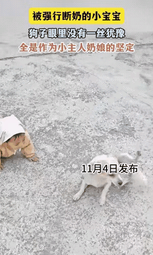 你把狗妈妈的奶喝光了，那几只刚出生的小狗崽喝西北风吗？
 
别觉得这只是小事，先