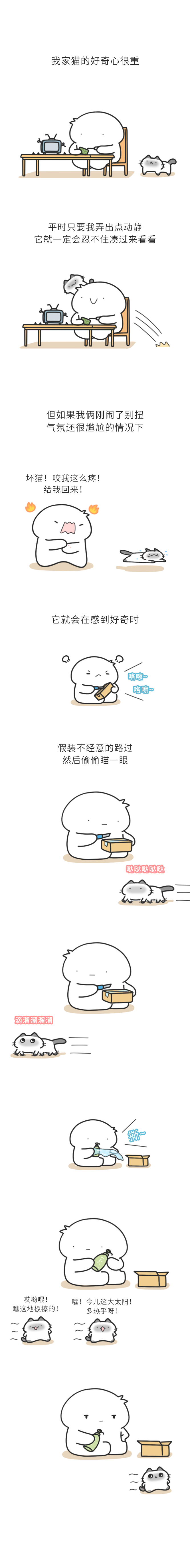 暹罗猫心眼子多。 