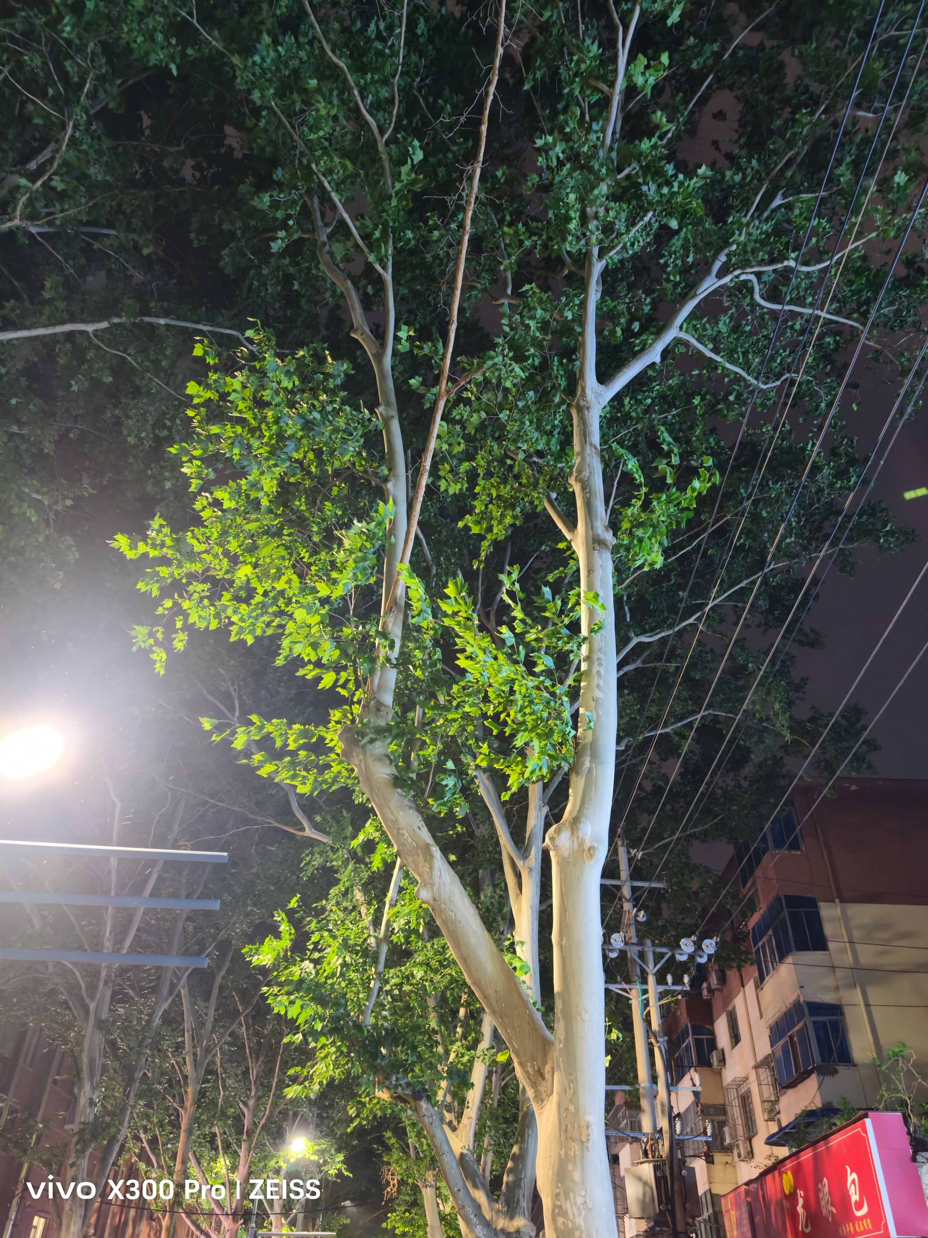 ！！！突然就起大风了，看天气预报也没雨啊。我的日常plog 郑州
