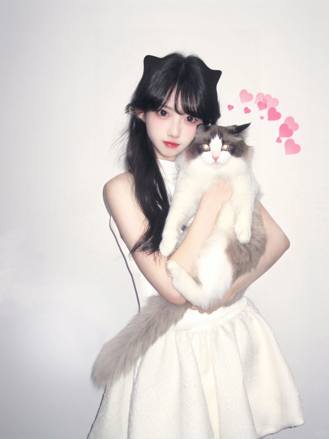 小猫的爱意是百分之百💯