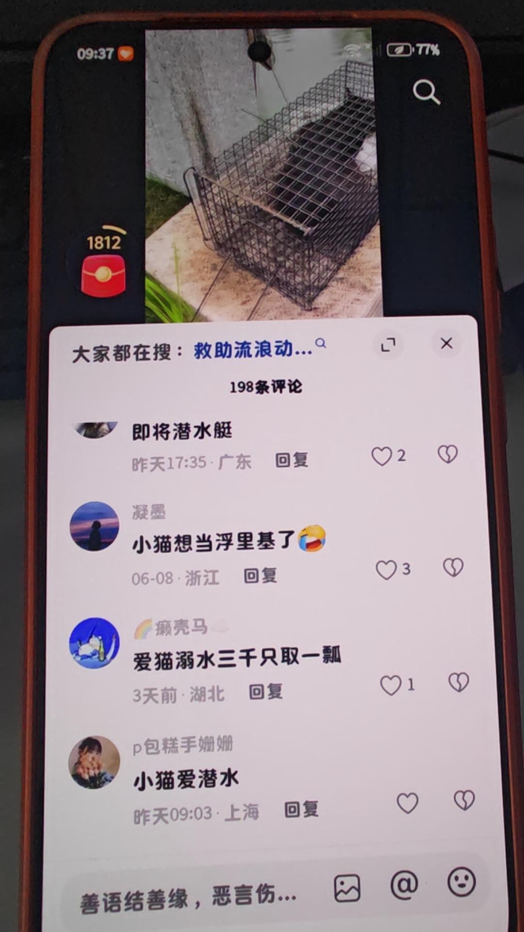 难以想象，毛孩子们太可怜