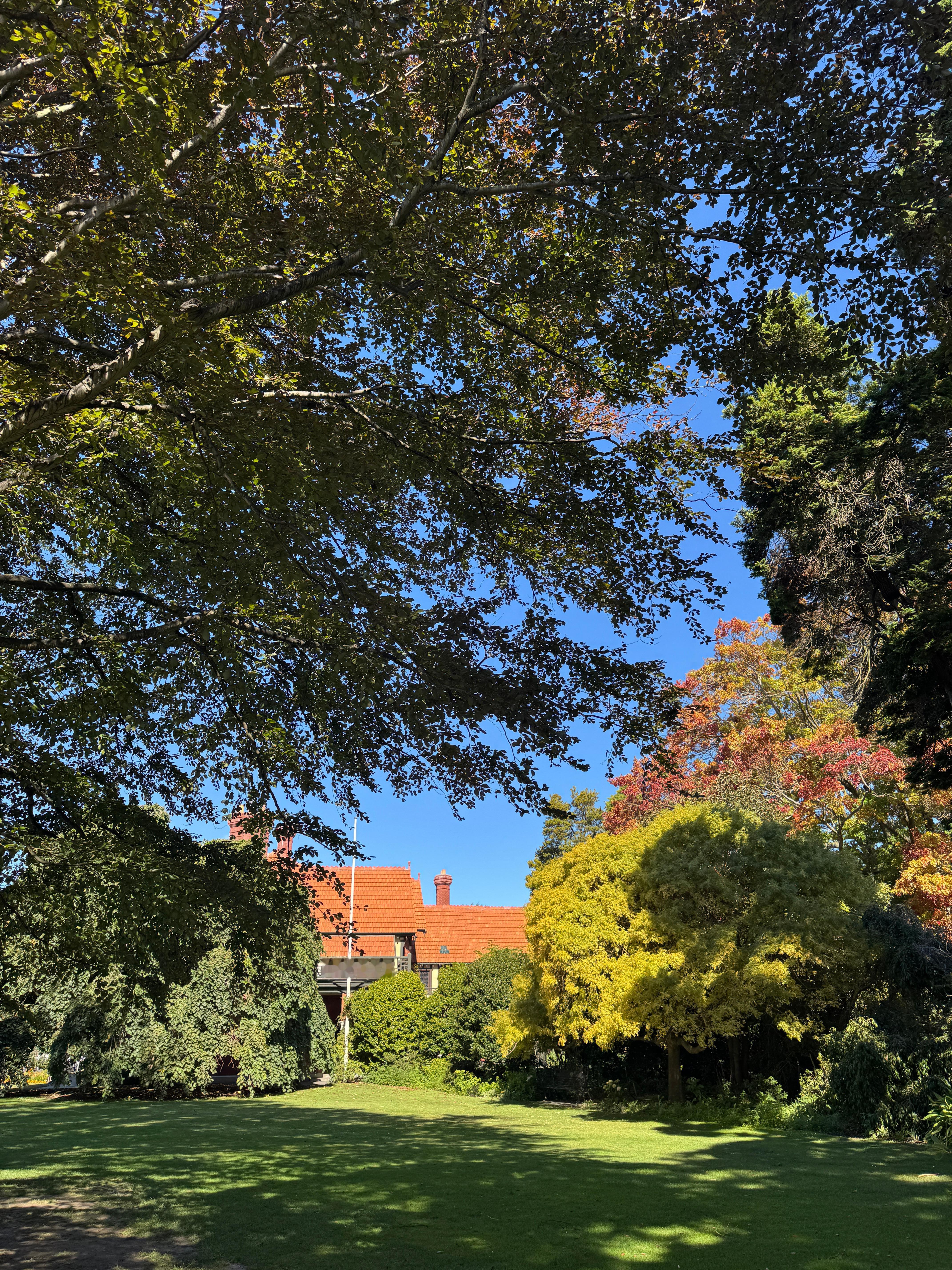 纽村一个普通的下午 