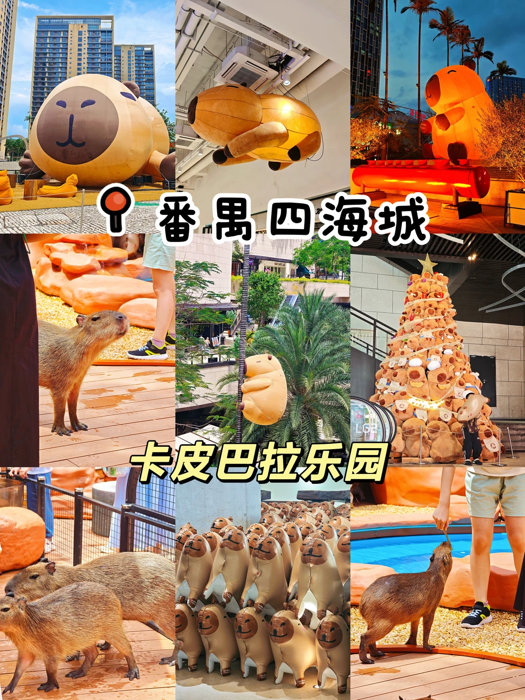 广州番禺四海城｜卡皮巴拉乐园！免费好去处