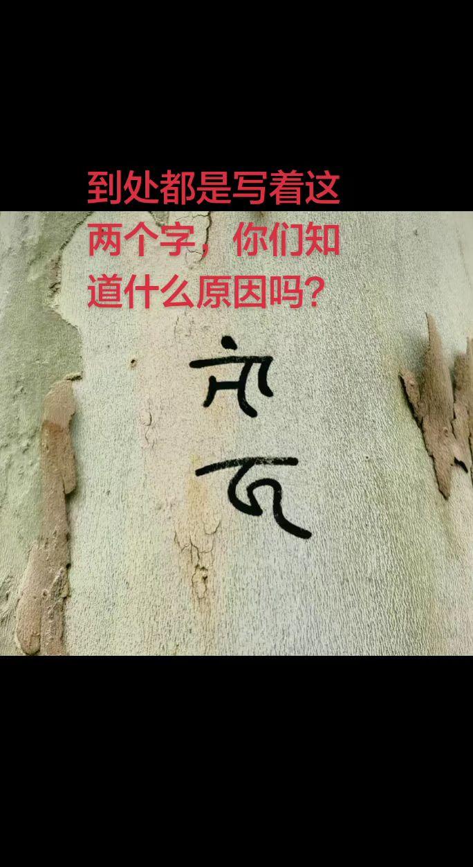 关注