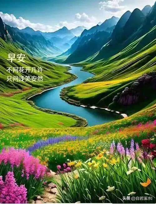 早安，新的一天，愿阳光铺满你所有细碎欢喜。