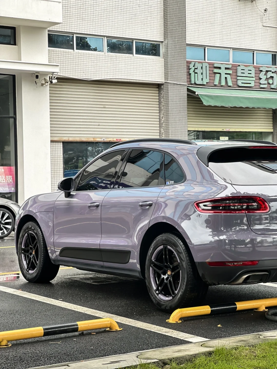 Macan｜超美普罗旺斯紫💜