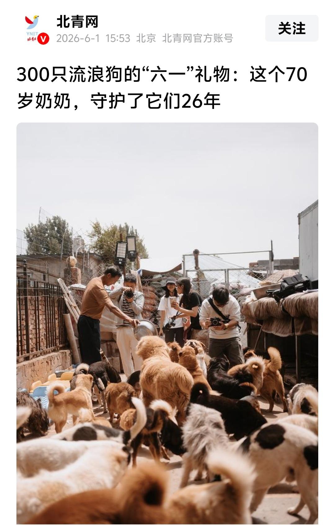 奇葩事∶北青网给狗过“儿童节”

奇事年年有，今年特别奇。

这不，北青网一群人