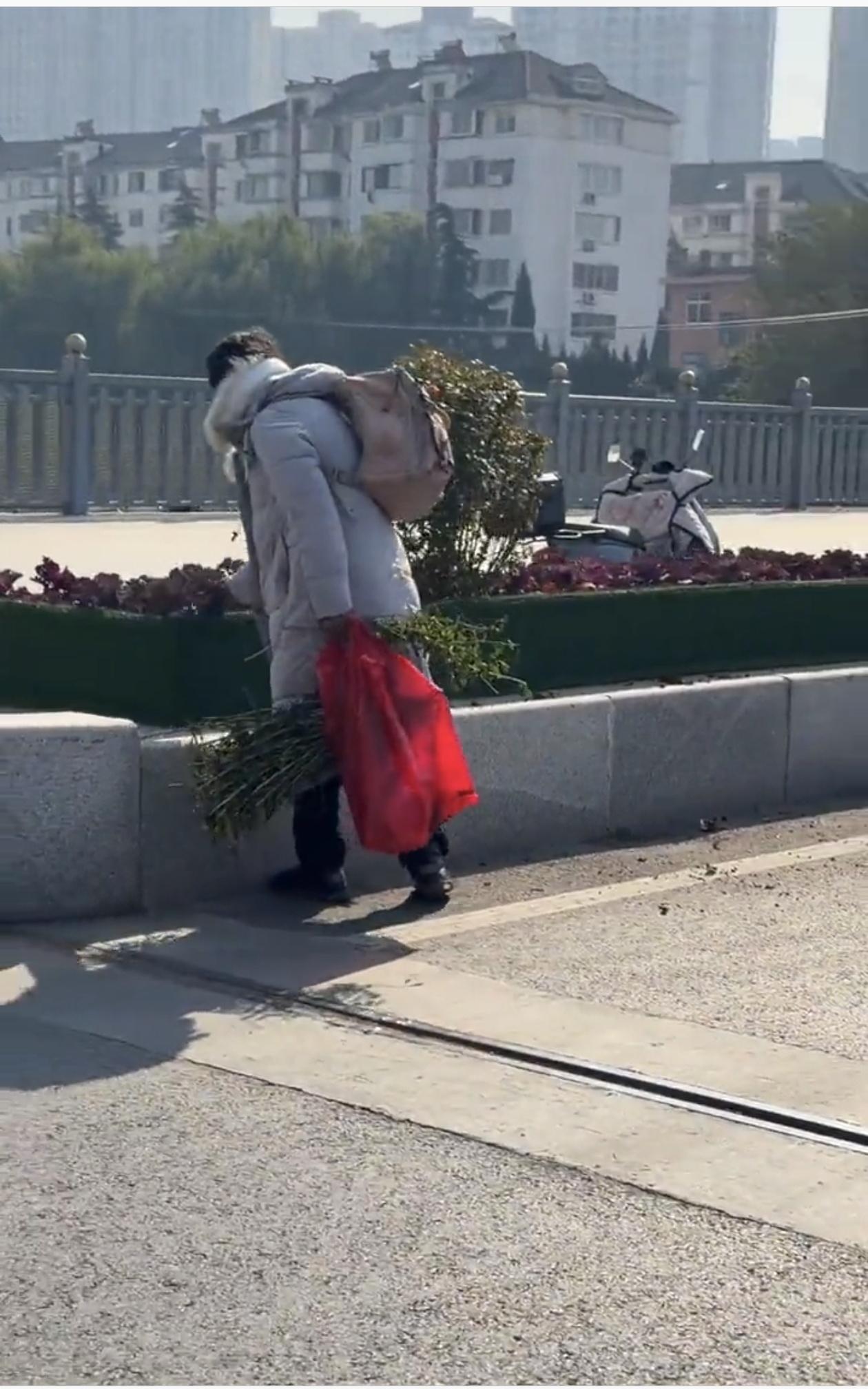 光天化日之下，山东青岛街头出现令人瞠目的一幕：一名女子旁若无人地伸手拔起绿化带里