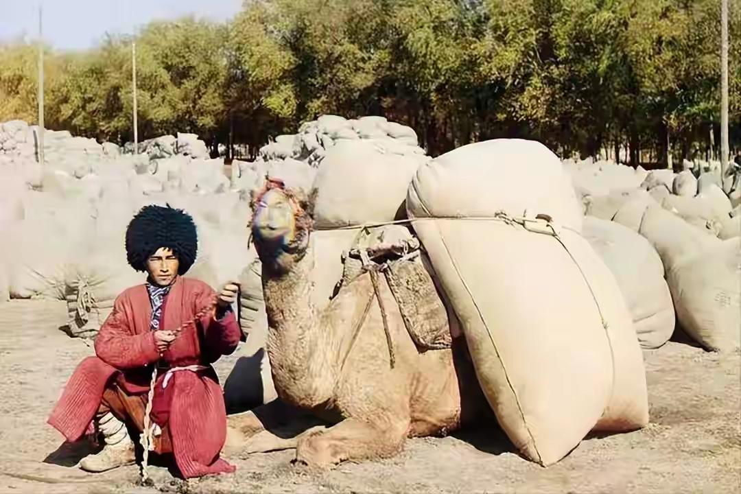 刘子超落地乌鲁木齐那几个小时里，第一件事不是补觉，是连上网。

他们刚从土库曼斯