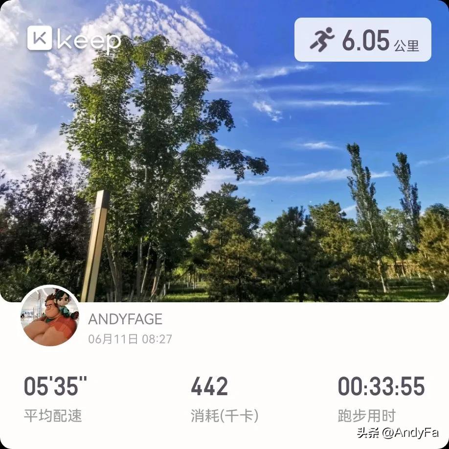 每个人都有属于自己的一片森林，也许我们从来不曾去过，但它一直在那里，总会在那里。