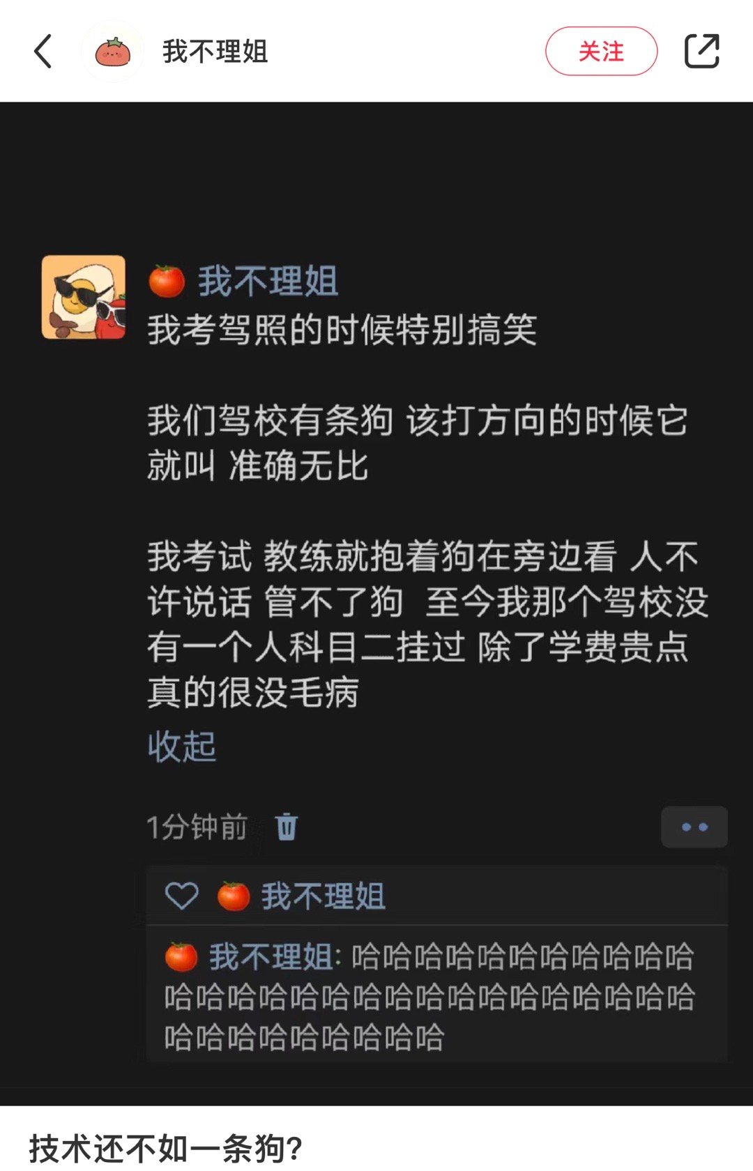 技术还不如一条狗 ​​​