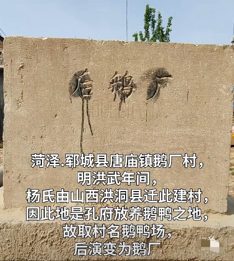 郓城县唐庙镇鹅厂村
鹅厂村，明洪武年间，杨氏由山西洪洞县迁此建村，因此地是孔府放