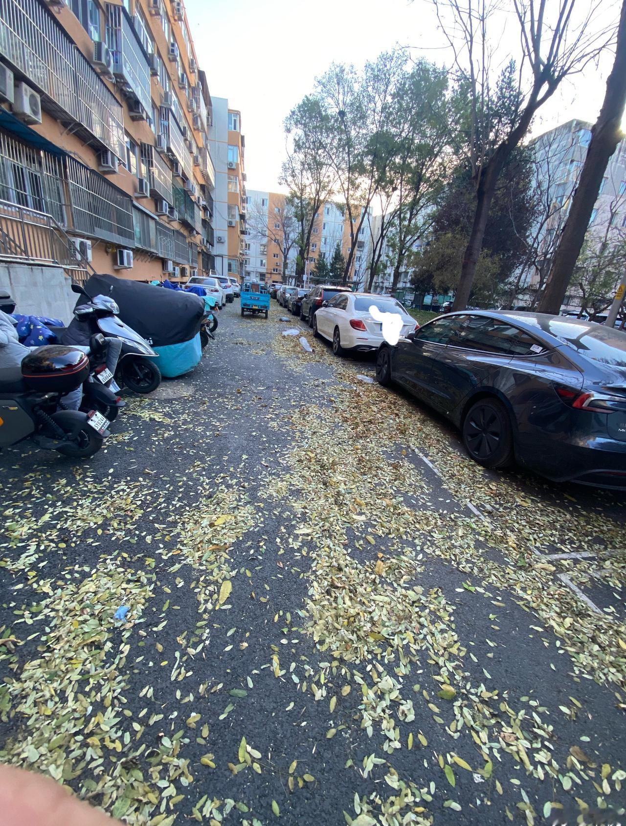 北京明天阵风或超9级大风吹🌬️