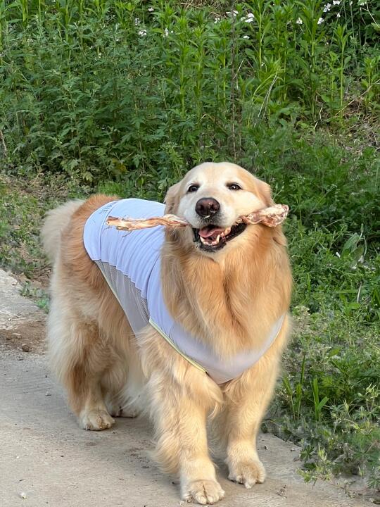 谁懂啊 我宝尊嘟太可爱啦！ 一定要看实况～