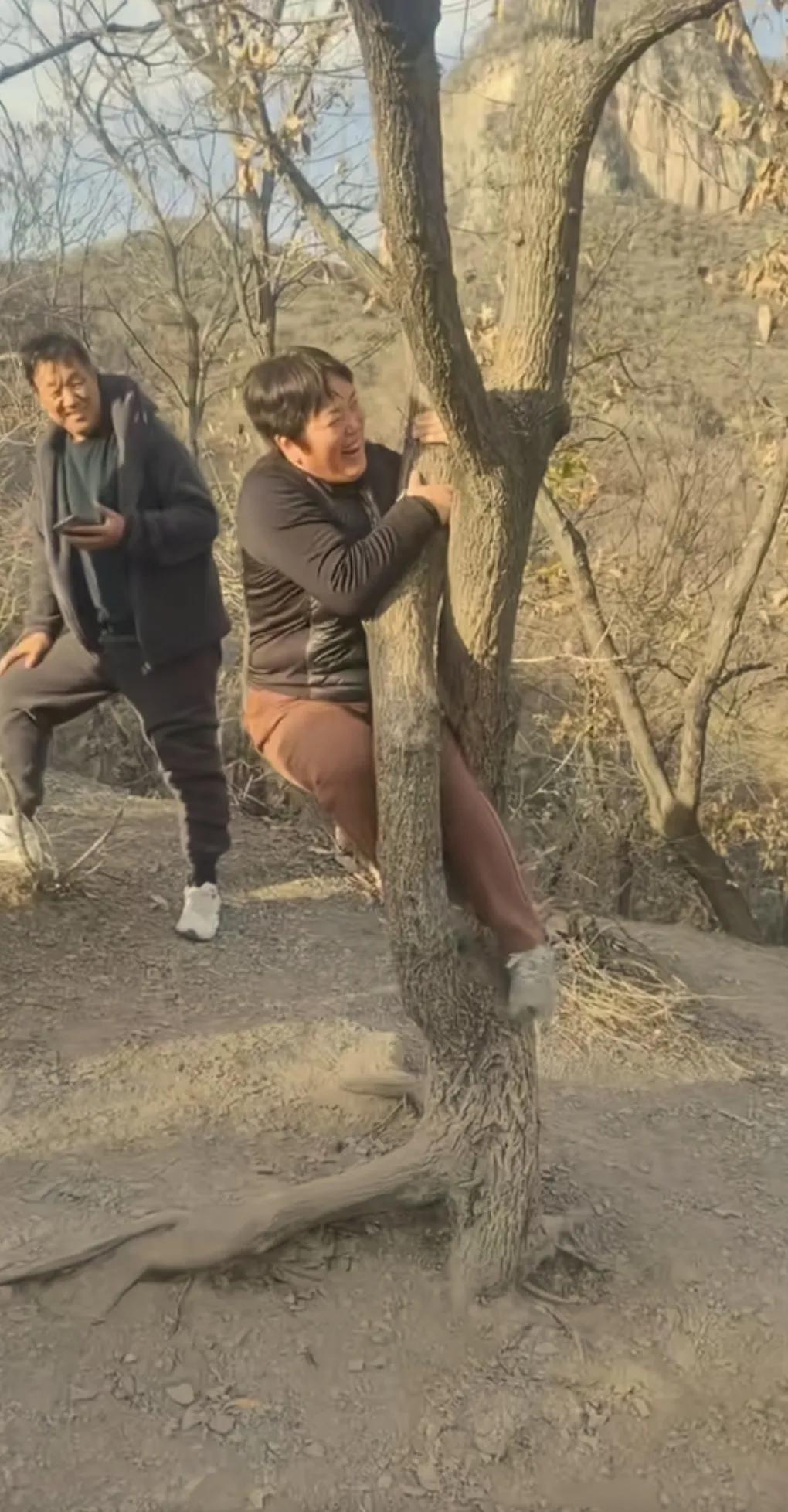 一把年纪的小仙女，还不稳重，童心未泯，这下玩大了吧。
小时候爬树玩轻轻松松，上了