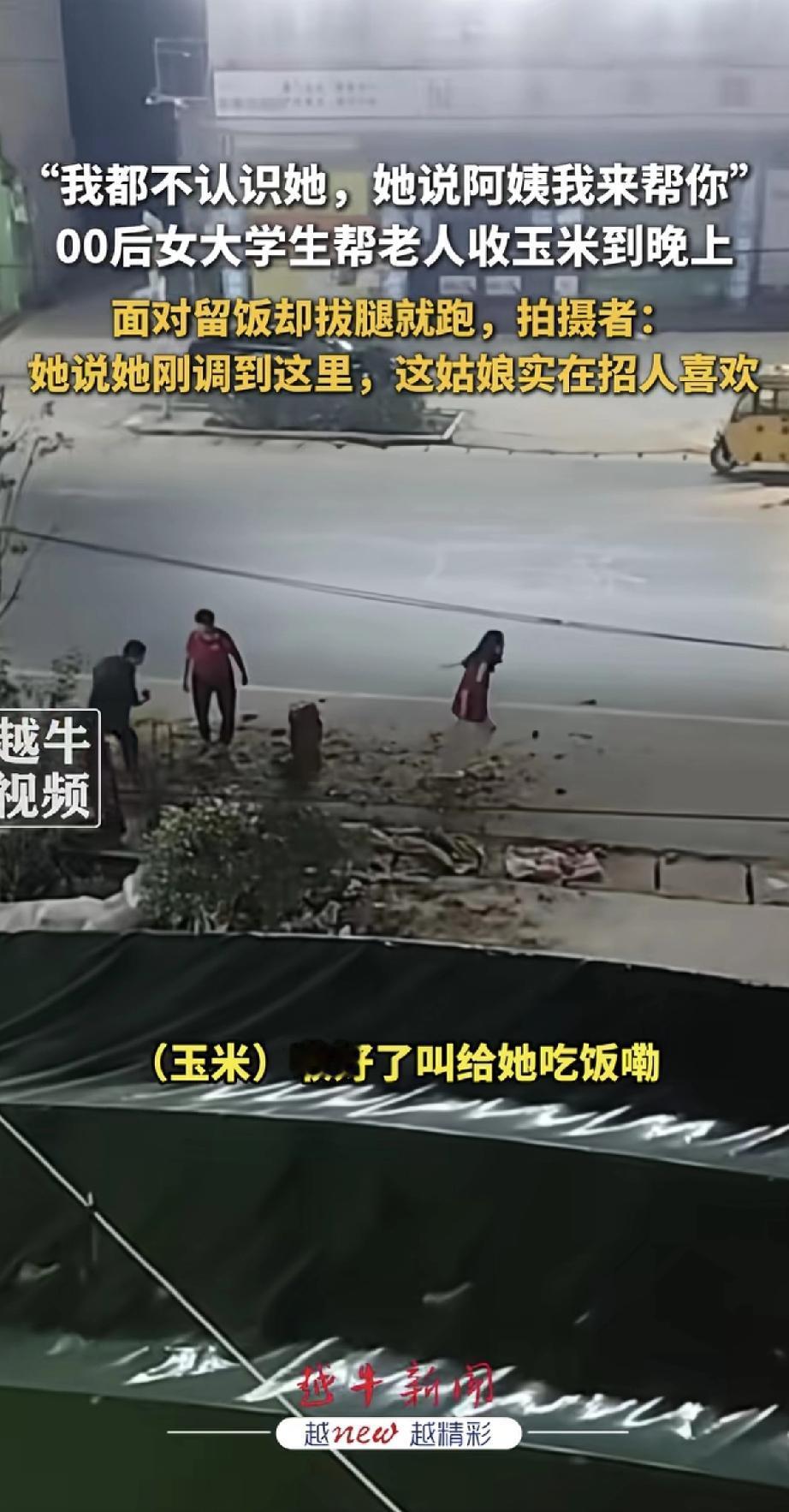 这姑娘真招人喜欢！一位00后女大学生，看到不认识的老人在路边收玉米，二话不说就上