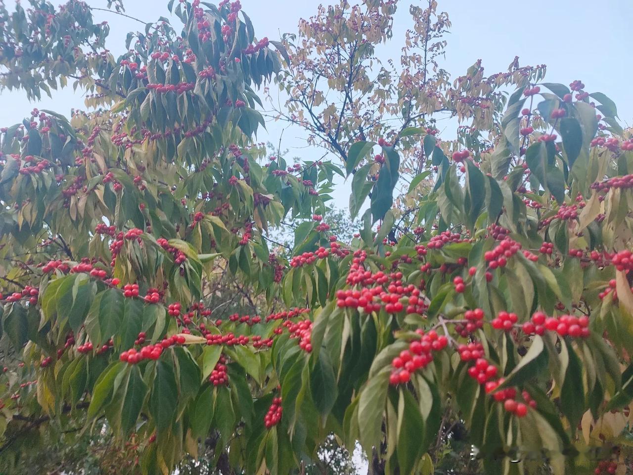 老房子，新房子
老观念，新感受
旧的不去，新的不来
做断舍离，轻松余生
虽有不舍