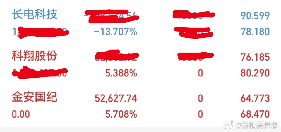 今日操作出局：金安国纪持有：长电科技，科翔股份 