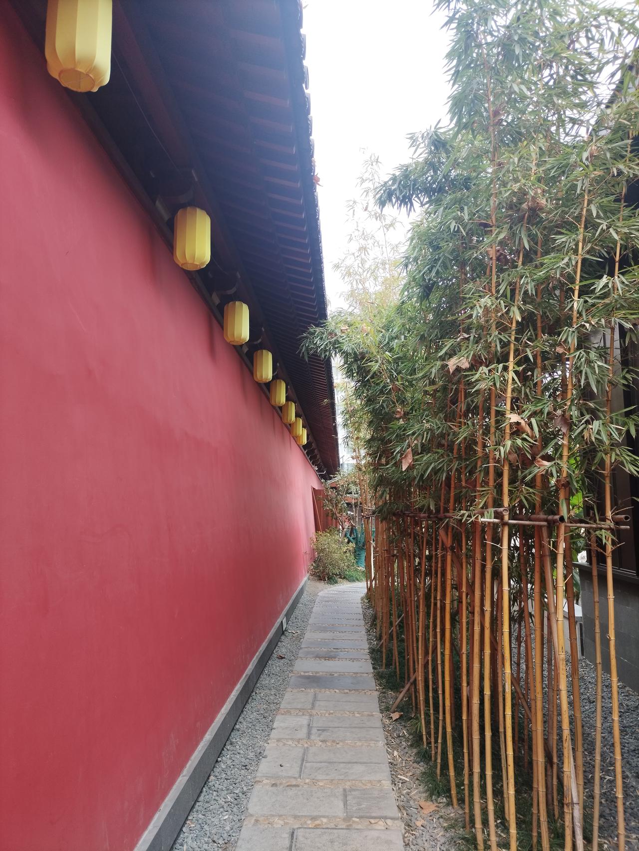 拍一张你所在城市的照片