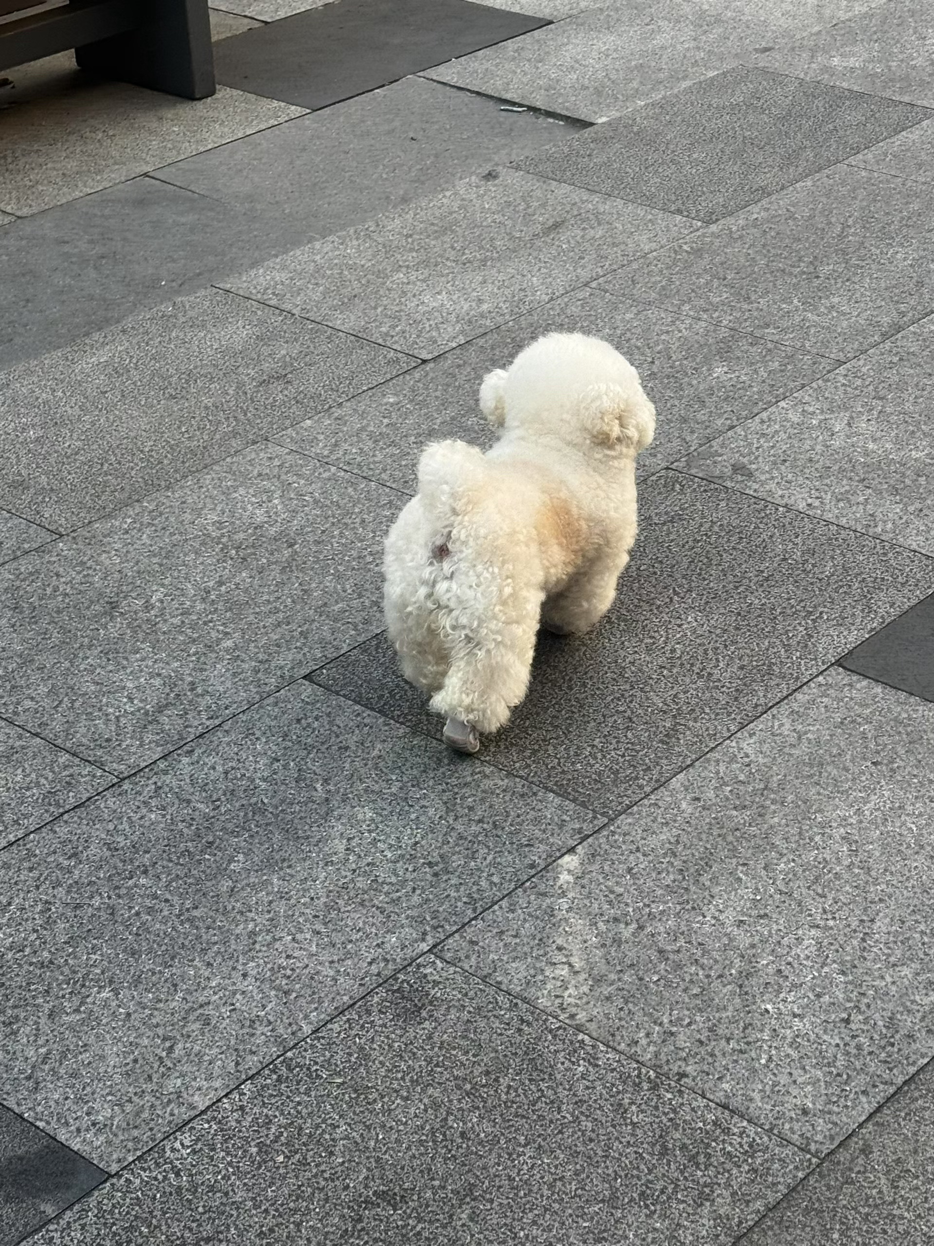 除了有点热，什么都好 ​​​
