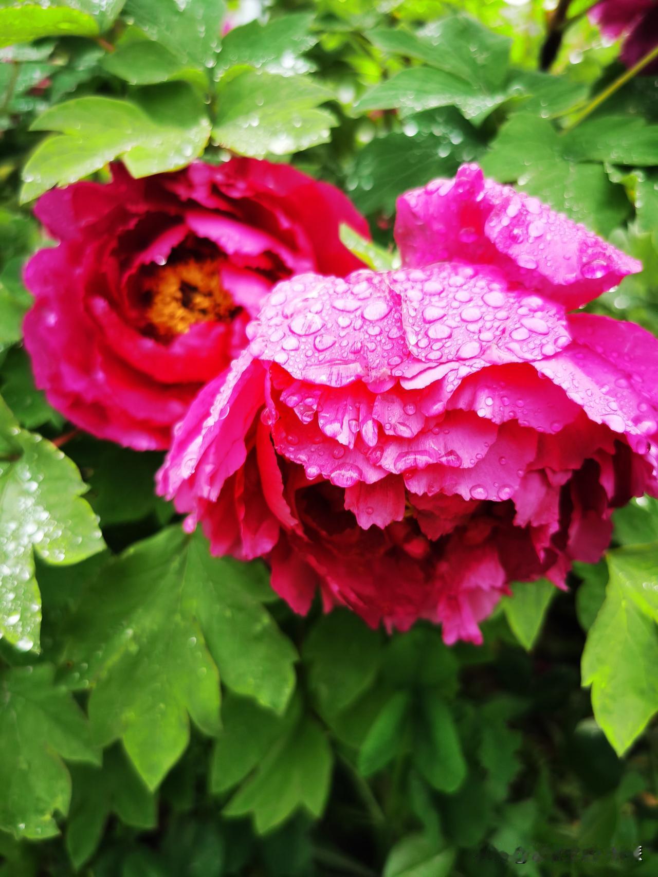 人这一生，
只有内在稳定自洽，才能从容淡定。

就像美国卡伦•霍妮在
《我们内心