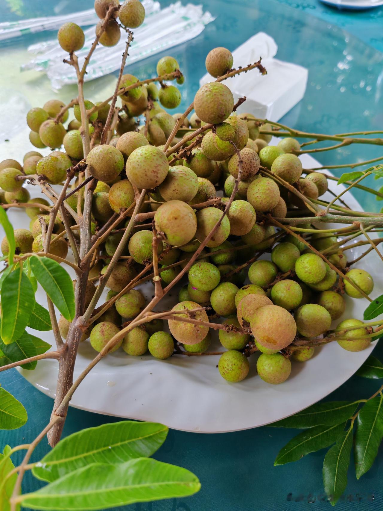 物茂土林一日游：

物茂土林又叫虎跳滩土林，属于国家4A级景区，是元谋开发最早、